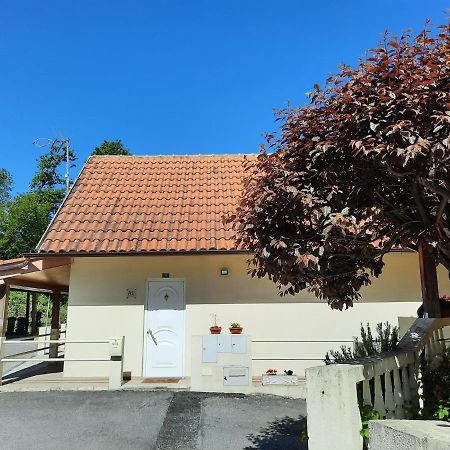 Apartamento Casas Do Caminho Velho Ribeira de Pena Exterior foto